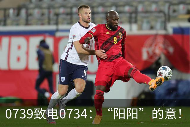 0739致电0734：“阳阳”的意！